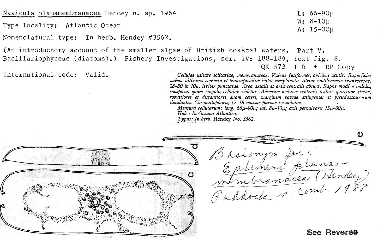 ANSP Diatom New Taxon File